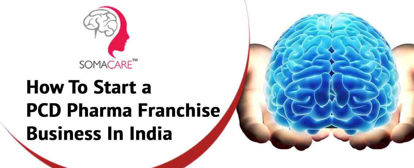 How To Start a PCD Pharma Franchise Business In India