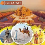 Top 10 Best Pharma Companies in Gujarat